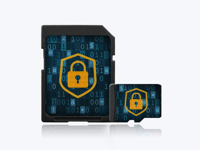 SecurStor-enabled SD & microSD-Karten